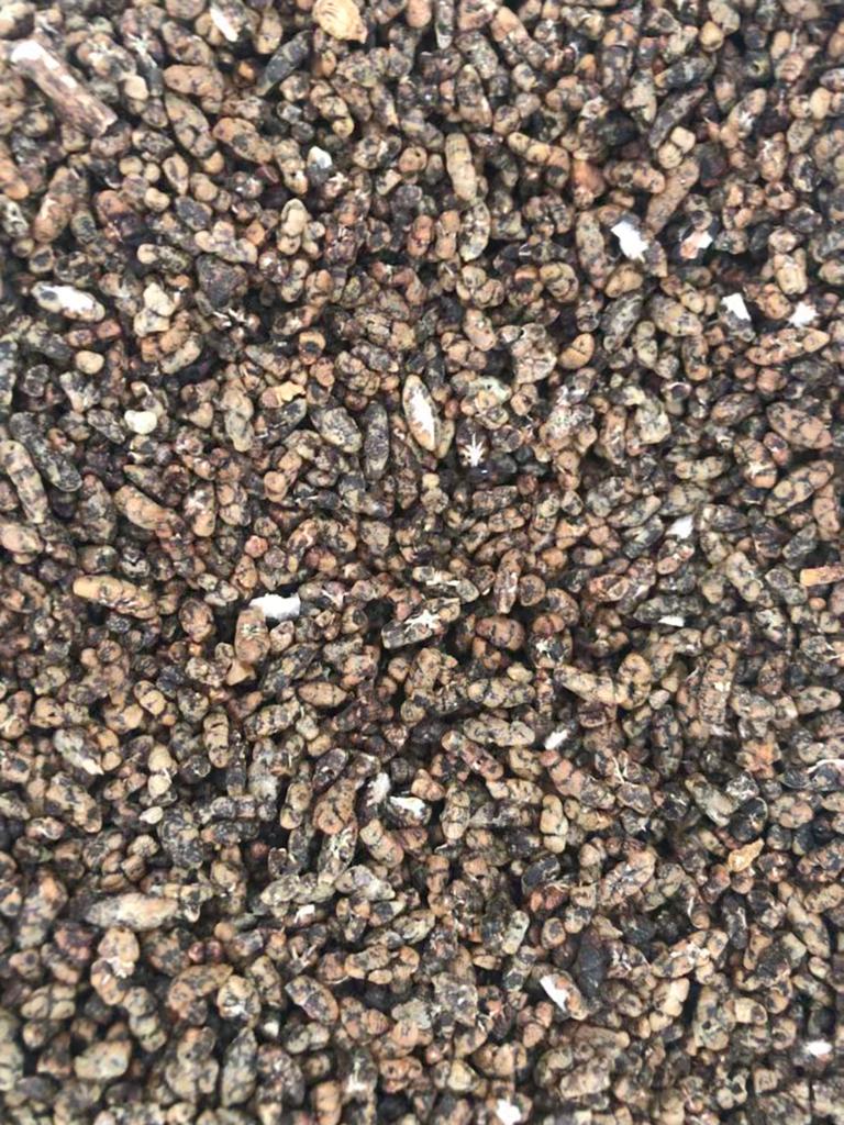 Indian Green Cardamom Seed Green Cardamom, Black Pepper